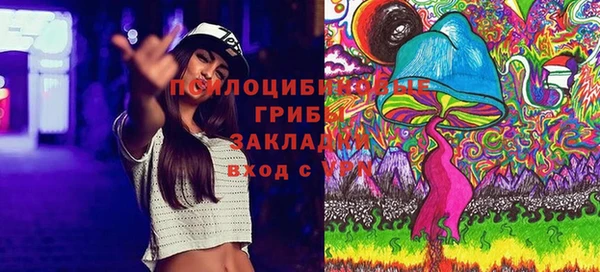 первитин Алексеевка