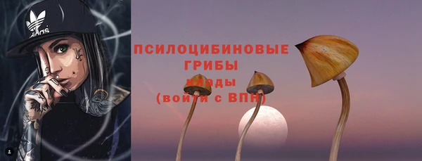 соль ск Алексин