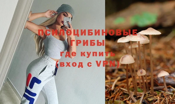 spice Алзамай
