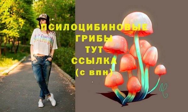 синтетический гашиш Абинск