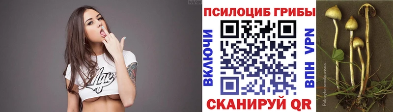 купить закладку  Абакан  Галлюциногенные грибы Psilocybe 